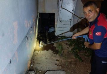 Depoda yakalanan yılan doğaya salındı