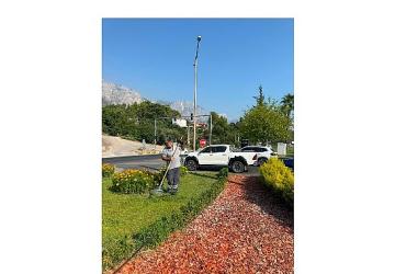Kemer Atatürk Caddesi'nde peyzaj çalışması