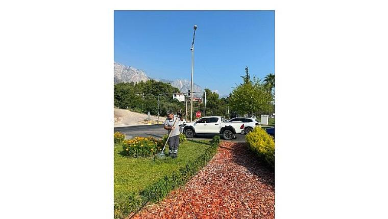 Kemer Atatürk Caddesi'nde peyzaj çalışması