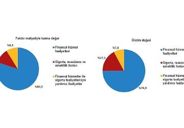Mali Aracı Kuruluş İstatistikleri, 2025