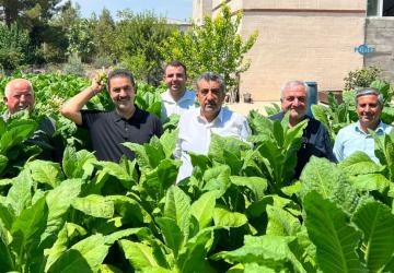 Genel Başkan Yardımcısı Bilal Yıldırım’dan Adıyaman'da tütün üreticisine destek açıklaması - Videolu Haber