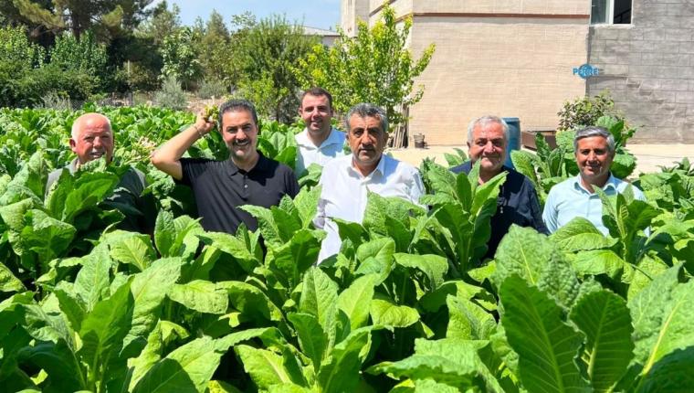 Genel Başkan Yardımcısı Bilal Yıldırım’dan Adıyaman'da tütün üreticisine destek açıklaması - Videolu Haber