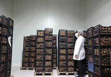 Büyükşehir'den Antalya'nın yerel üretimine can suyu olacak tesis