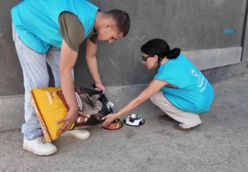 Adıyaman’da sokak hayvanları için 20 beslenme noktası oluşturuldu - Videolu Haber