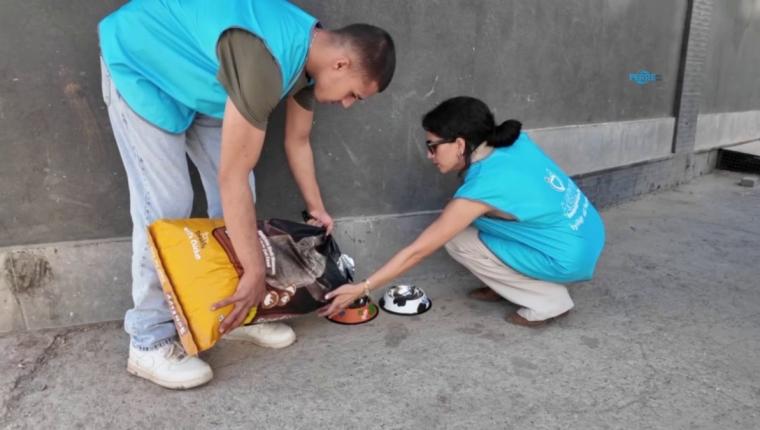 Adıyaman’da sokak hayvanları için 20 beslenme noktası oluşturuldu - Videolu Haber