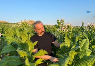 Adıyaman’da bademe öngörülebilir fiyat, tütün üreticisine destek çağrısı