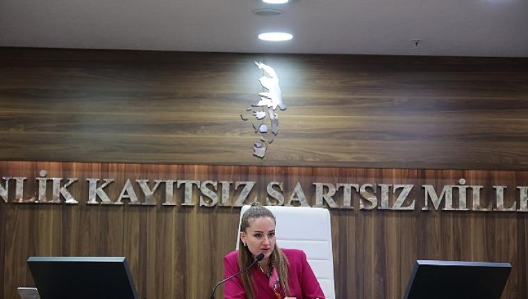 Başkan Vekili Özdemir'den Altıntaş açıklaması