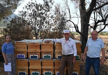 Yangında Kovanları Zarar Gören Arıcıya Büyükşehir'den Destek