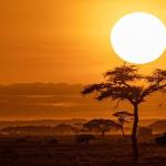 National Geographic NOW Seç-İzle Servisinin Ekim Ayı Teması 'Afrika'!