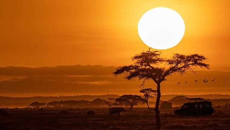 National Geographic NOW Seç-İzle Servisinin Ekim Ayı Teması 'Afrika'!
