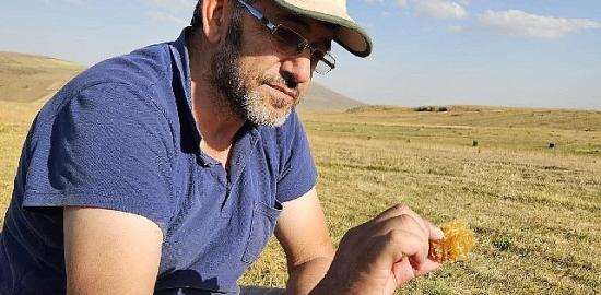 Kafkas Arısı için alarm zilleri çalıyor