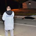 Besni’de otomobilin çarptığı yaya hayatını kaybetti