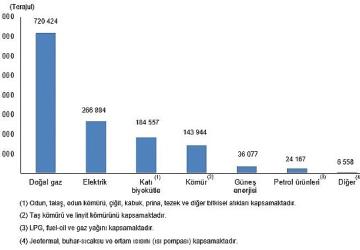 Hanehalkı Nihai Enerji Tüketim İstatistikleri, 2025