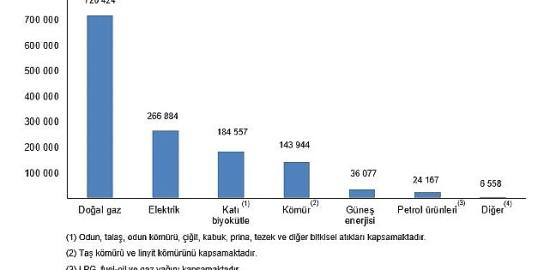 Hanehalkı Nihai Enerji Tüketim İstatistikleri, 2025