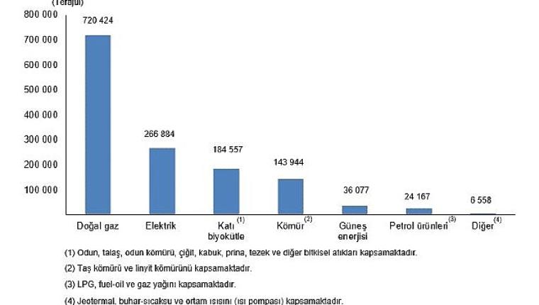 Hanehalkı Nihai Enerji Tüketim İstatistikleri, 2025