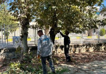 Adıyaman’da Eski Mezarlık’ta bakım ve temizlik çalışması başlatıldı