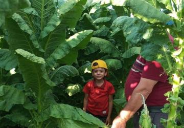 BBP Adıyaman İl Başkanlığı tütün üreticilerinin sorunlarını genel merkeze taşıyacak