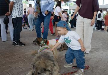 Karşıyaka'da can dostlar için dayanışma buluşması