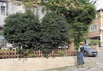 Maltepe Belediyesi'nden Büyükbakkalköy'de kapsamlı temizlik çalışması