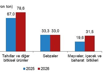 Bitkisel Üretim 2.Tahmini, 2026