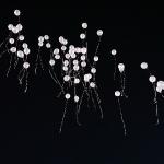 Gökyüzüne pembe balon bıraktılar