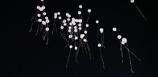 Gökyüzüne pembe balon bıraktılar