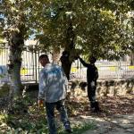 ADIYAMAN (PERRE) - (Berfin GÜRBÜZ) - Adıyaman Belediyesi ekipleri, Eski Mezarlık'ta ağaç budama, çevre temizliği ve bakım çalışması başlattı.
