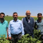 ŞANLIURFA (PERRE) - HÜDA PAR Suruç İlçe Başkanı Yunus Fidan, Suruç'ta çiftçileri ziyaret ederek üreticilerin yaşadığı sorunları dinledi.