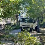 ADIYAMAN (PERRE) - (Berfin GÜRBÜZ) - Adıyaman Belediyesi ekipleri, Eski Mezarlık'ta ağaç budama, çevre temizliği ve bakım çalışması başlattı.