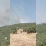 ADIYAMAN (PERRE) - Adıyaman'ın Besni ilçesinde, ormanlık alanda çıkan yangın havadan ve karadan kontrol altına alındı.