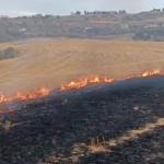 ADIYAMAN (PERRE) - Adıyaman'ın Besni ilçesinde, boş arazide çıkan anız yangını itfaiyenin müdahalesiyle kontrol altına alındı.