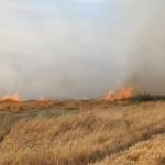 ADIYAMAN (PERRE) - Adıyaman'ın Besni ilçesinde, boş arazide çıkan anız yangını itfaiyenin müdahalesiyle kontrol altına alındı.
