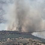 ADIYAMAN (PERRE) - Adıyaman'ın Gerger ilçesinde, ormanlık alanda çıkan paniğe neden olurken, yangın havadan ve karadan kontrol altına alınmaya çalışılıyor.