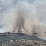 ADIYAMAN (PERRE) - Adıyaman'ın Gerger ilçesinde, ormanlık alanda çıkan paniğe neden olurken, yangın havadan ve karadan kontrol altına alınmaya çalışılıyor.