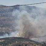 ADIYAMAN (PERRE) - Adıyaman'ın Gerger ilçesinde, ormanlık alanda çıkan paniğe neden olurken, yangın havadan ve karadan kontrol altına alınmaya çalışılıyor.