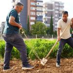 ADIYAMAN (PERRE) - (Şeriban ÖZÇAKMAK) - Adıyaman Belediyesi ile Adıpayam Kadın Kooperatifi iş birliğinde kurulan Sebze Üretim Merkezi'nde tere, roka, maydanoz ve ıspanak ekimine başlandı.