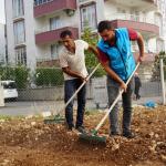 ADIYAMAN (PERRE) - (Şeriban ÖZÇAKMAK) - Adıyaman Belediyesi ile Adıpayam Kadın Kooperatifi iş birliğinde kurulan Sebze Üretim Merkezi'nde tere, roka, maydanoz ve ıspanak ekimine başlandı.
