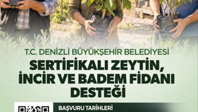 Denizli’de Üreticilere Sertifikalı Fidan Desteği İçin Başvurular Başladı