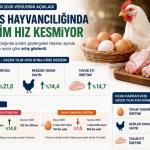 Kümes Hayvancılığında Haziran Ayında Üretim Hız Kesmiyor