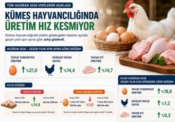 Kümes Hayvancılığında Haziran Ayında Üretim Hız Kesmiyor