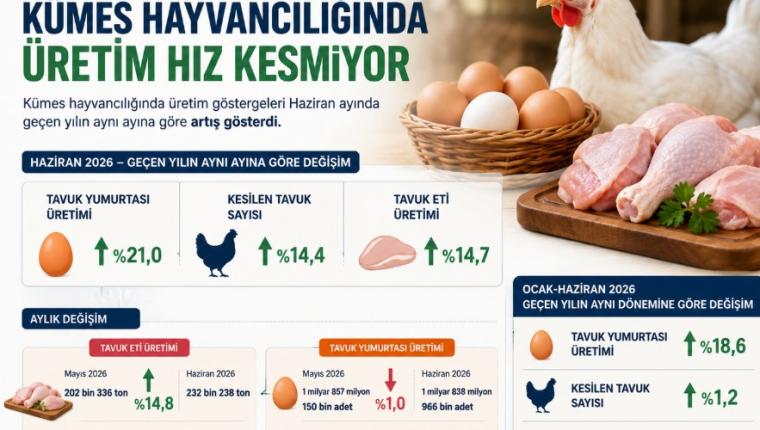 Kümes Hayvancılığında Haziran Ayında Üretim Hız Kesmiyor