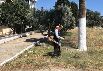 Didim Belediyesi'nden Kente Özenli Dokunuş: Kendi Üretimi Çiçekler Toprakla Buluşuyor