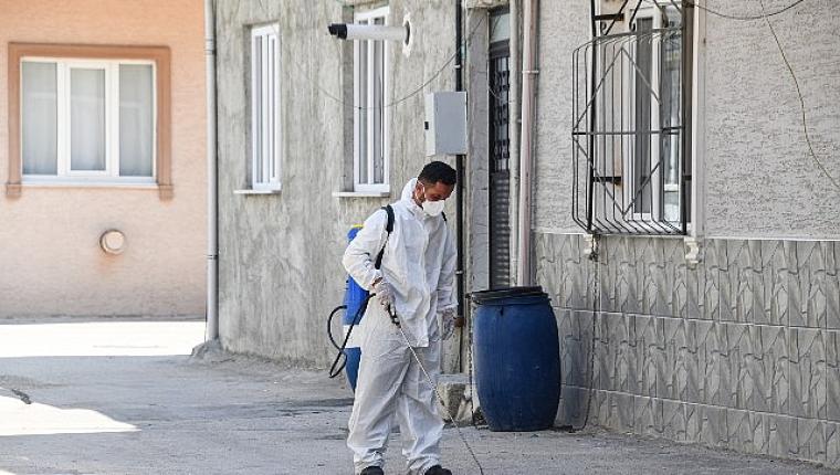 Osmangazi Belediyesi'nden Haşereye Karşı Anında Müdahale