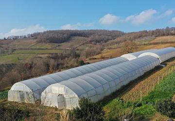 Kocaeli Büyükşehir, tarımı geleceğe taşıyor
