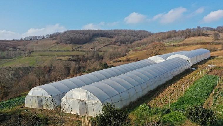 Kocaeli Büyükşehir, tarımı geleceğe taşıyor