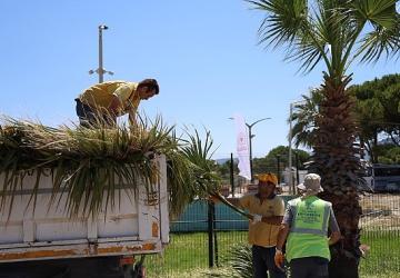 Başkan Çerçioğlu Öncülüğünde Kuşadası'nda Yeşil Alanlarda Kapsamlı Bakım ve Düzenleme Çalışması