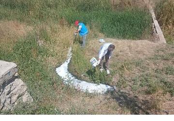 Haşerelere Karşı İlaçlama Çalışmaları Sürüyor