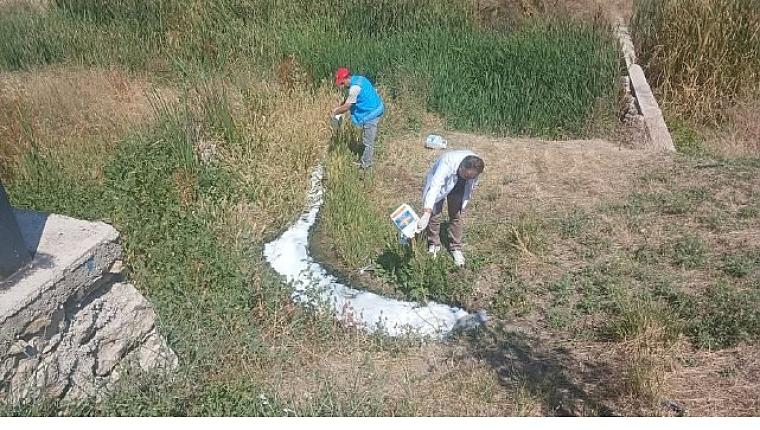 Haşerelere Karşı İlaçlama Çalışmaları Sürüyor