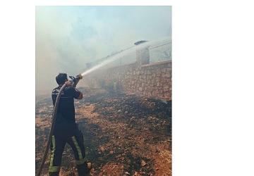 Büyükşehir İtfaiyesi'nden orman yangınına müdahale