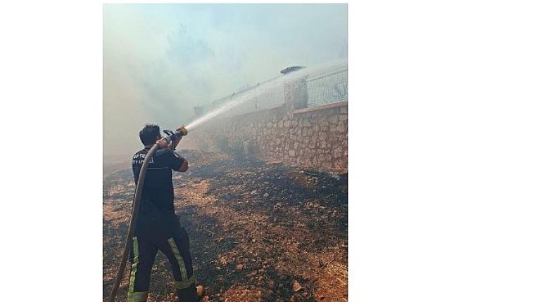 Büyükşehir İtfaiyesi'nden orman yangınına müdahale